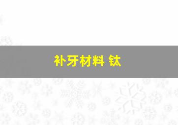 补牙材料 钛